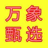 万象甄选